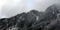 grey skykomish hills
