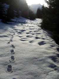 hike in snow