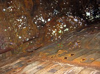 i see the problem right here