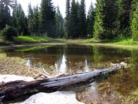 lake above Cayuse Pass