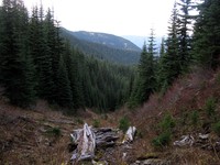 looking down Buck Creek