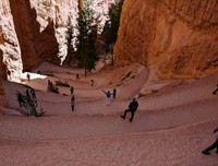 looking down Navaho Loop Trail Bryce Canyon