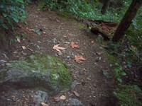 looking down at Little Si to Mt Si trail