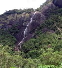 looking up at big Adams Peak waterfall