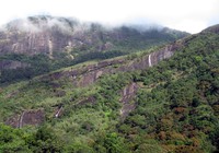 looking up at small Adams Peak waterfall