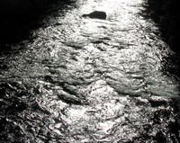 looking west at river from Snoqualmie River Trail