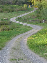 meandering taylor mountain road