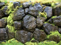mossy rock wall