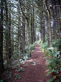 my favorite Oregon coast trail