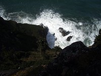 my favorite Oregon coast trail