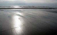 ocean shores beach