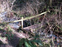 old trail bridge near issaquah