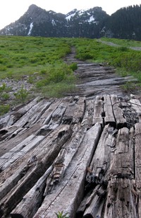 old wooden road