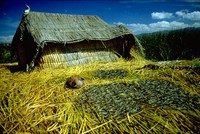 Lake Titicaca reed houses 1980