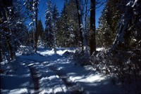 Maple Valley driveway in snow