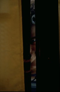 Summer peeking in Yosemite tent cabin