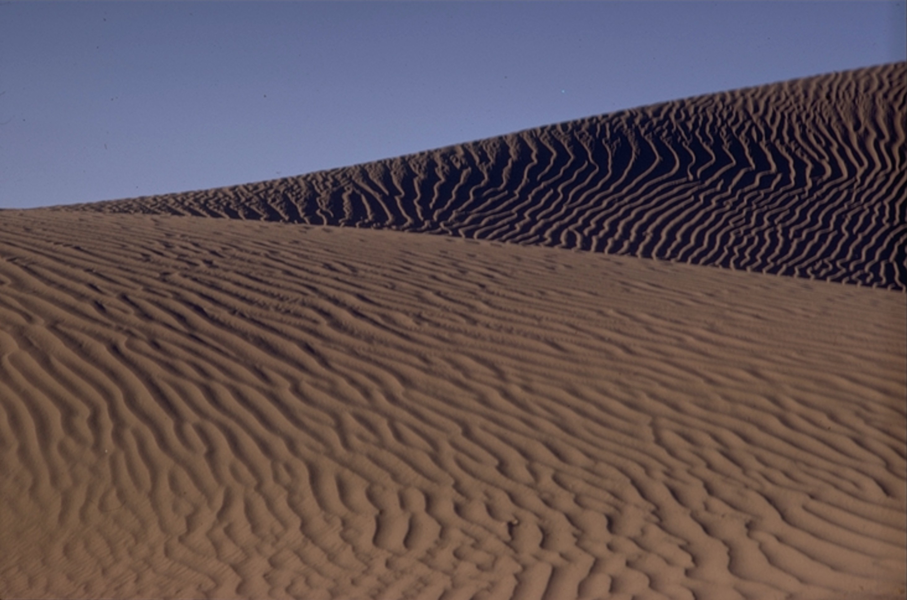 Death Valley Dunes 1971