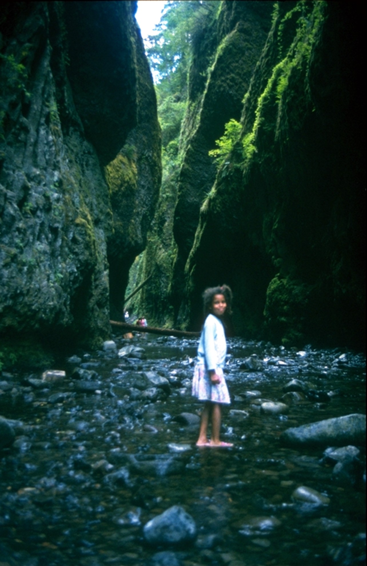 Heather Oneonta Gorge