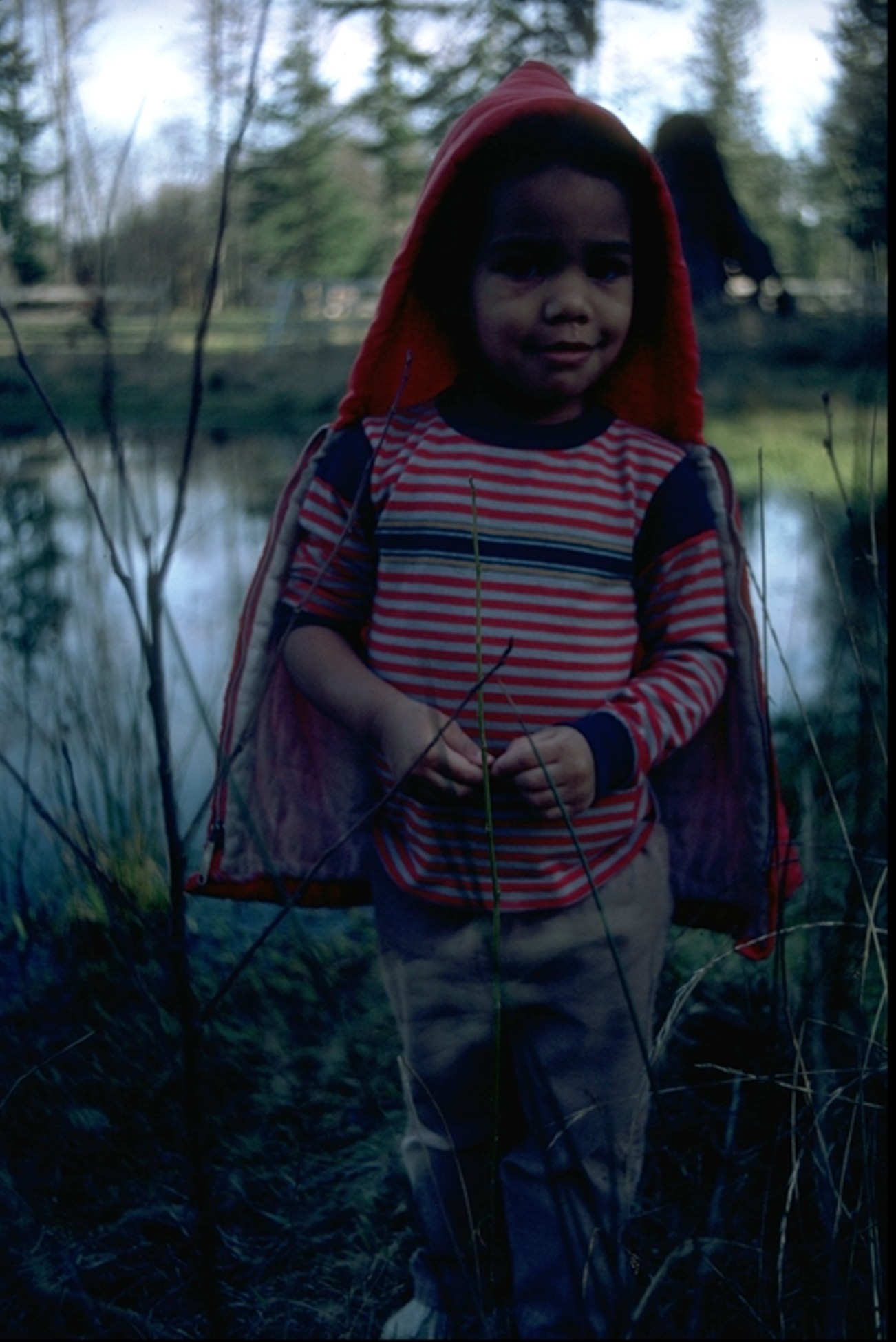 Summer by the pond you cannot find anymore