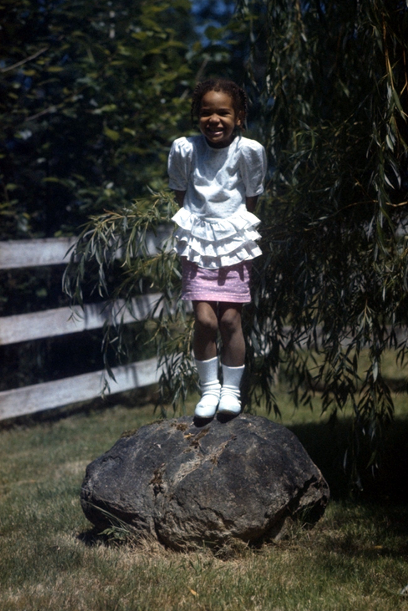 Summer on back yard rock