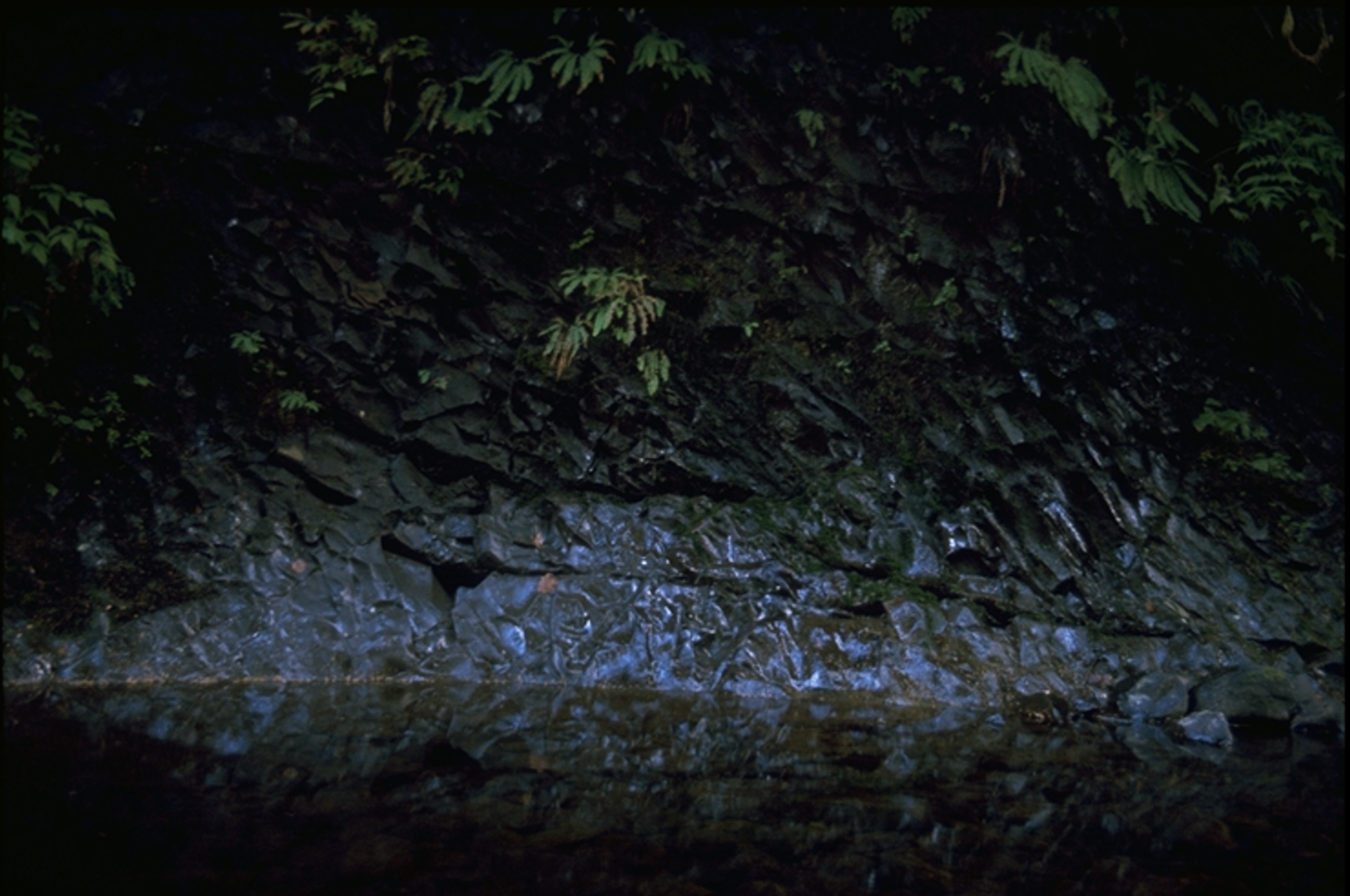 creek at Short Sands 1971