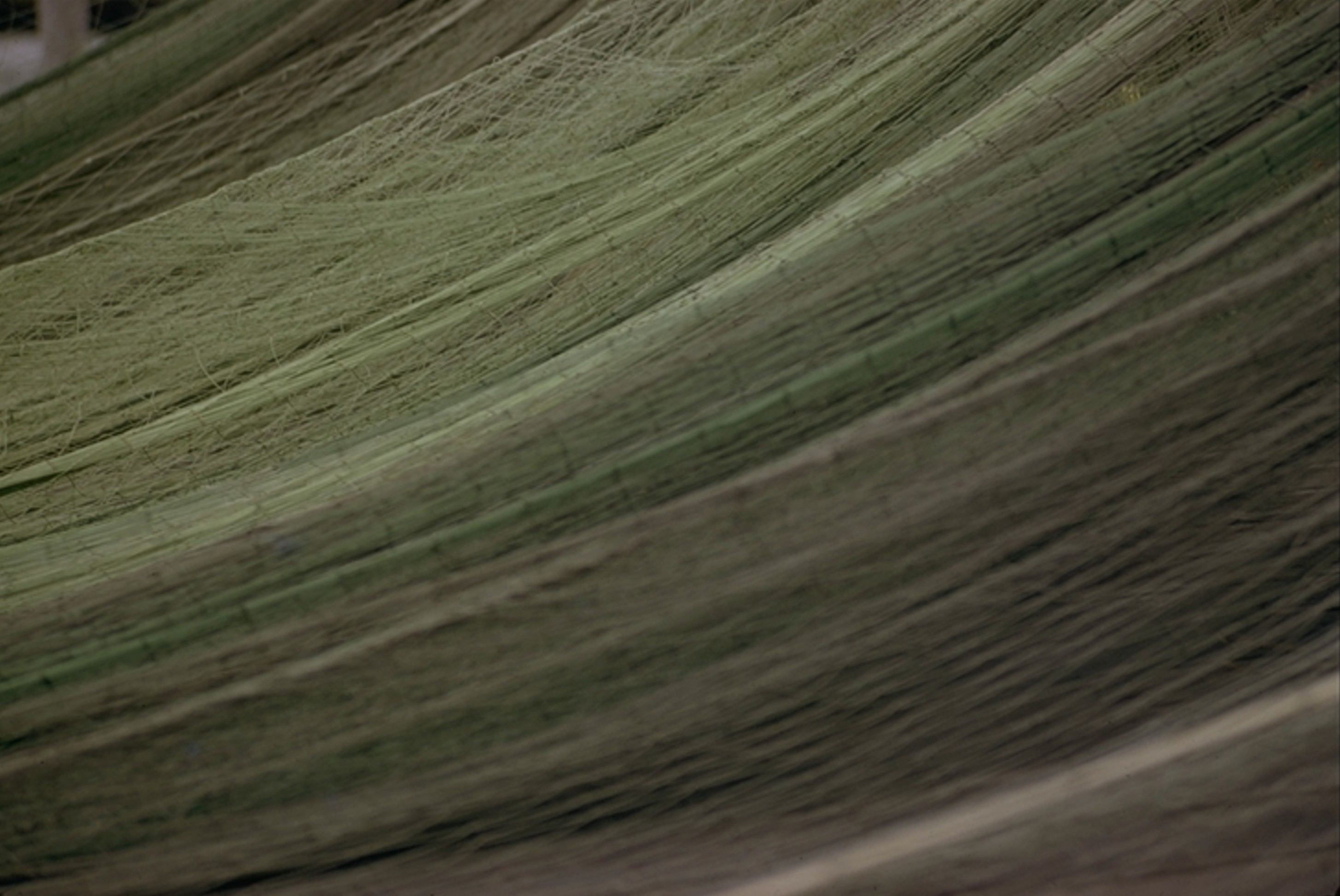 gillnet the fish just swam right through 1974