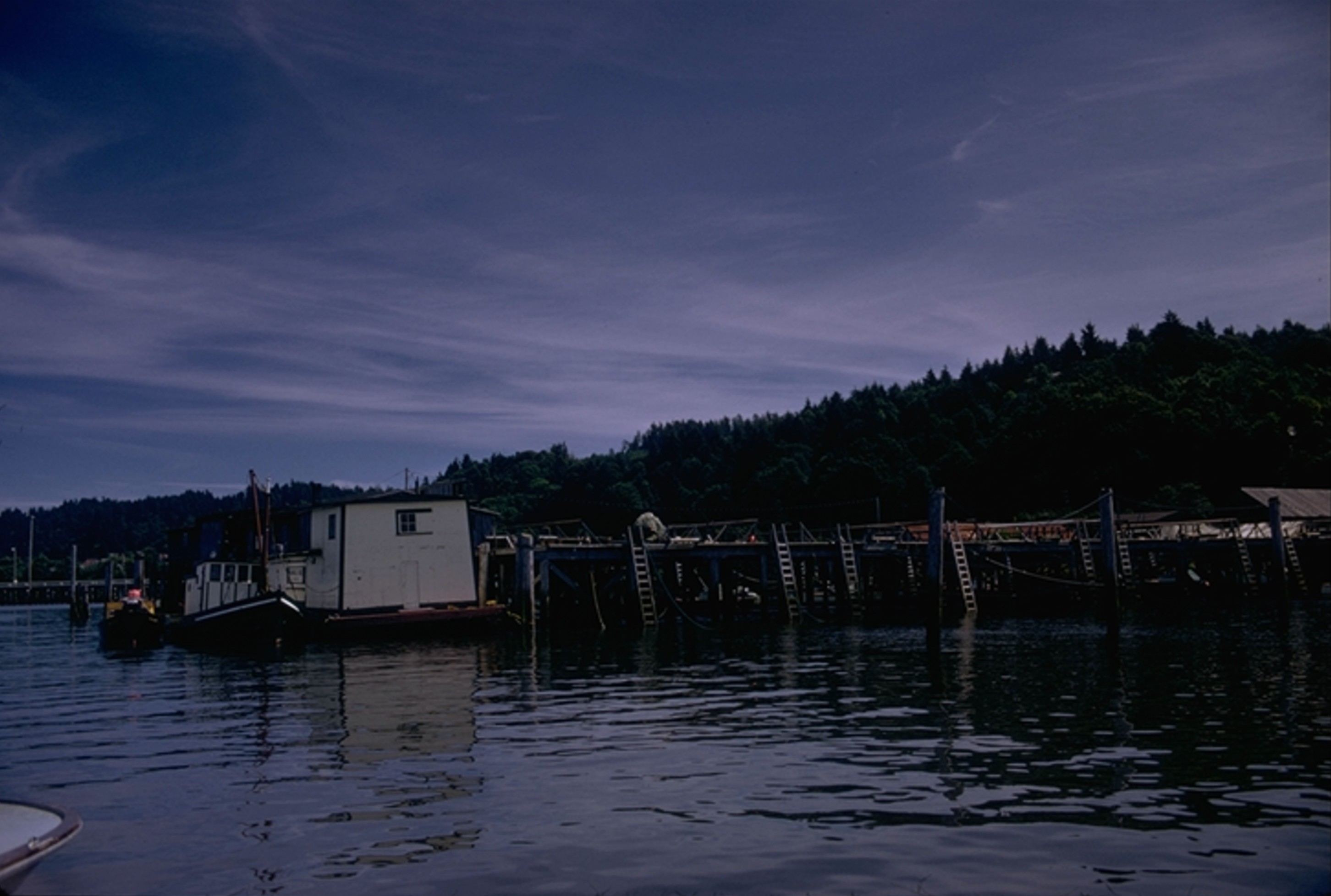 up a slough from Astoria 1974