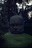big rock Olmec head suffering from boredom 1975