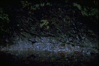 creek at Short Sands 1971