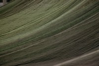 gillnet the fish just swam right through 1974