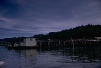 up a slough from Astoria 1974