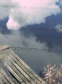 pond reflection segment