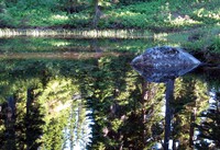 reflections in an unexpected lake