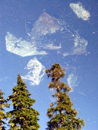 reflections in an unexpected lake