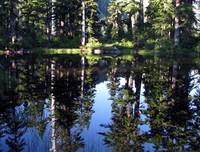 reflections in an unexpected lake