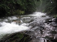 river above Franklin Falls
