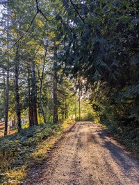 road from Baldy Hill