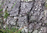 rock pattern on Little Adams Peak