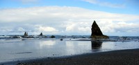 rocks at Hoh River beach