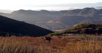santa monica mountains