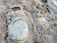 seagoing rock pattern