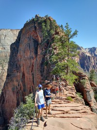 seeing Angels Landing