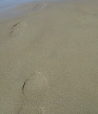 short sands footprints