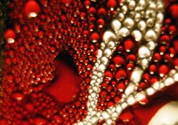 1970 07 26 refreshing macro pause 01