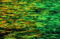 1970 09 26 Hong Kong lights in water 01