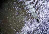 1970 10 14 boat in water 01