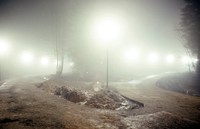 1971 10 Evergreen noir 01