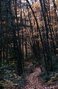 1973 10 27 Shenandoah trail 01