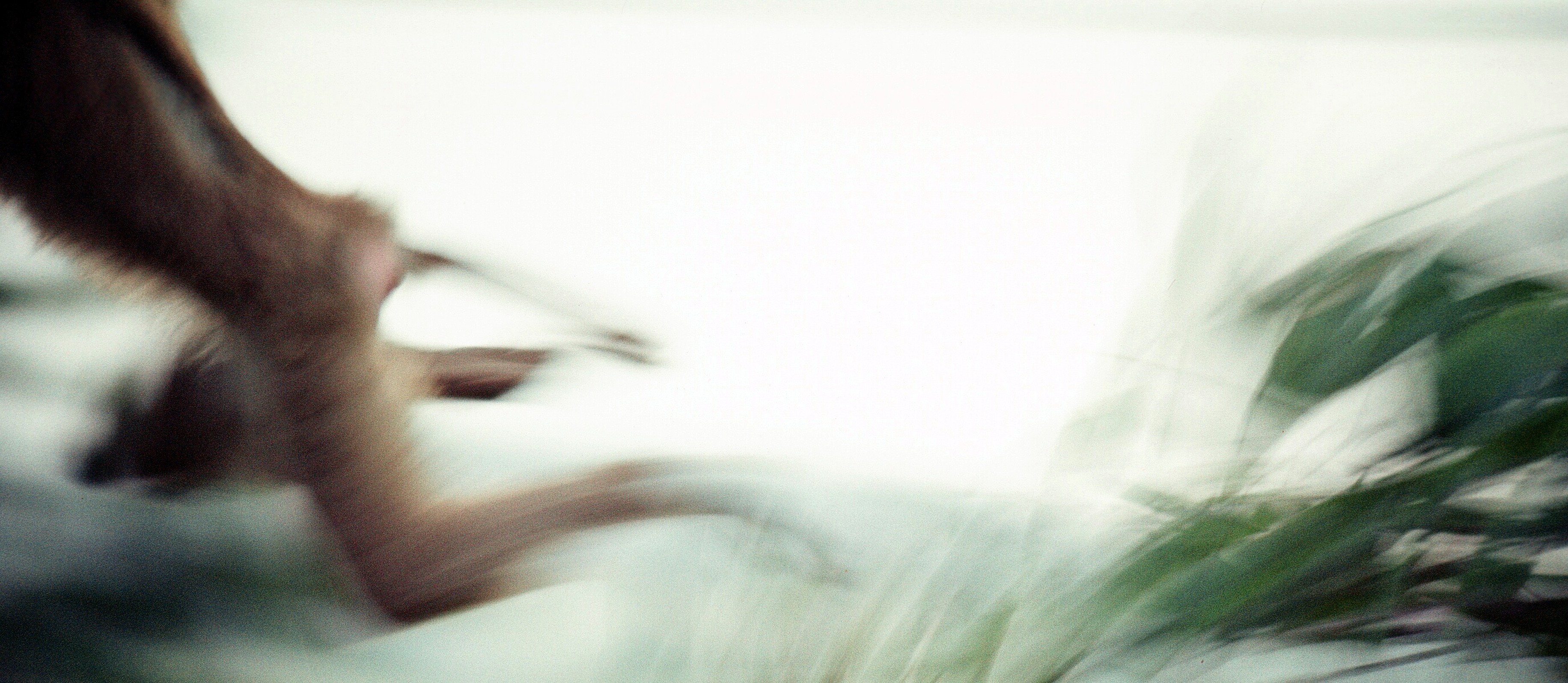 1970 02 03 Saigon monkey 01