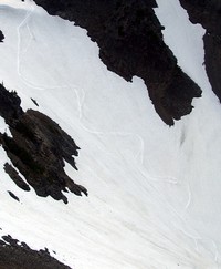 snow path near Sunrise Mt Rainier